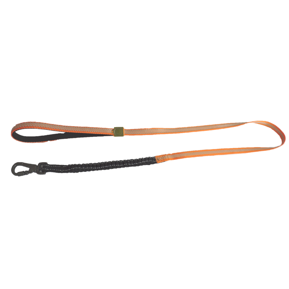 AFP Off Street - Dog Leash Tangarine M