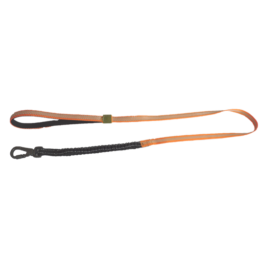 AFP Off Street - Dog Leash Tangarine M
