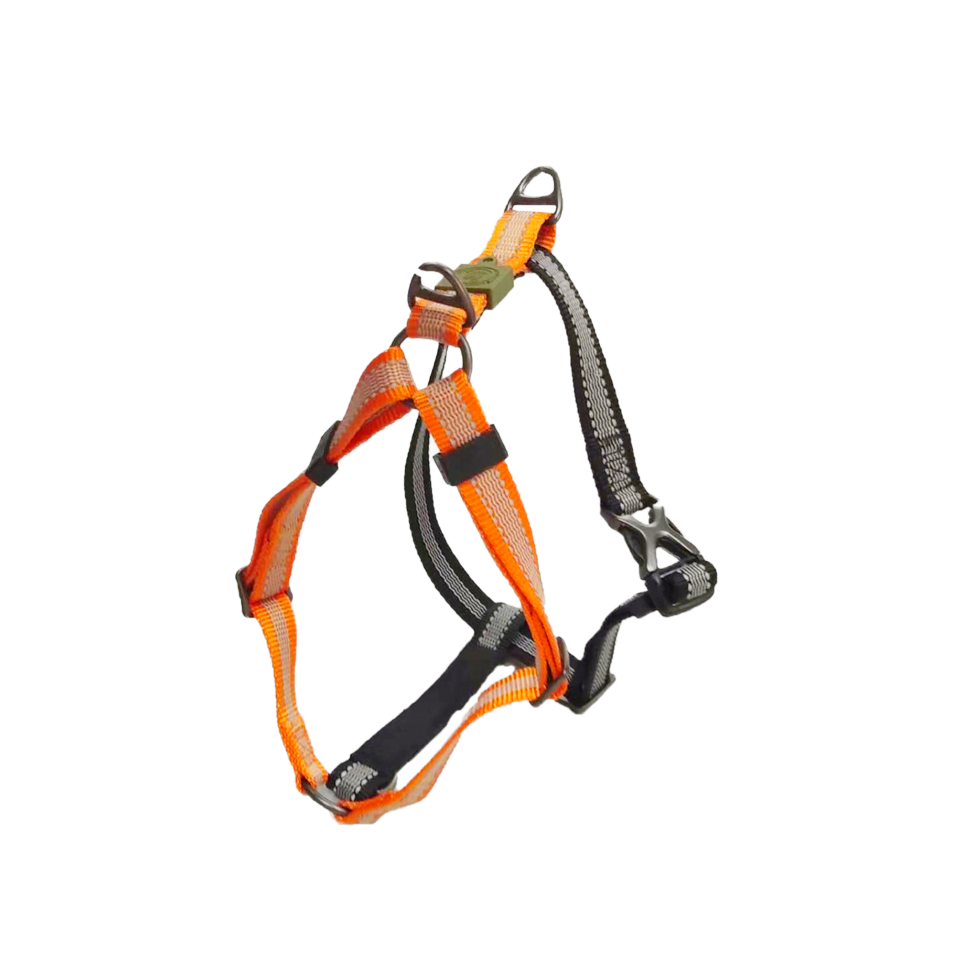 AFP Off Street - Dog Non-Pull Harness Tangarine XL