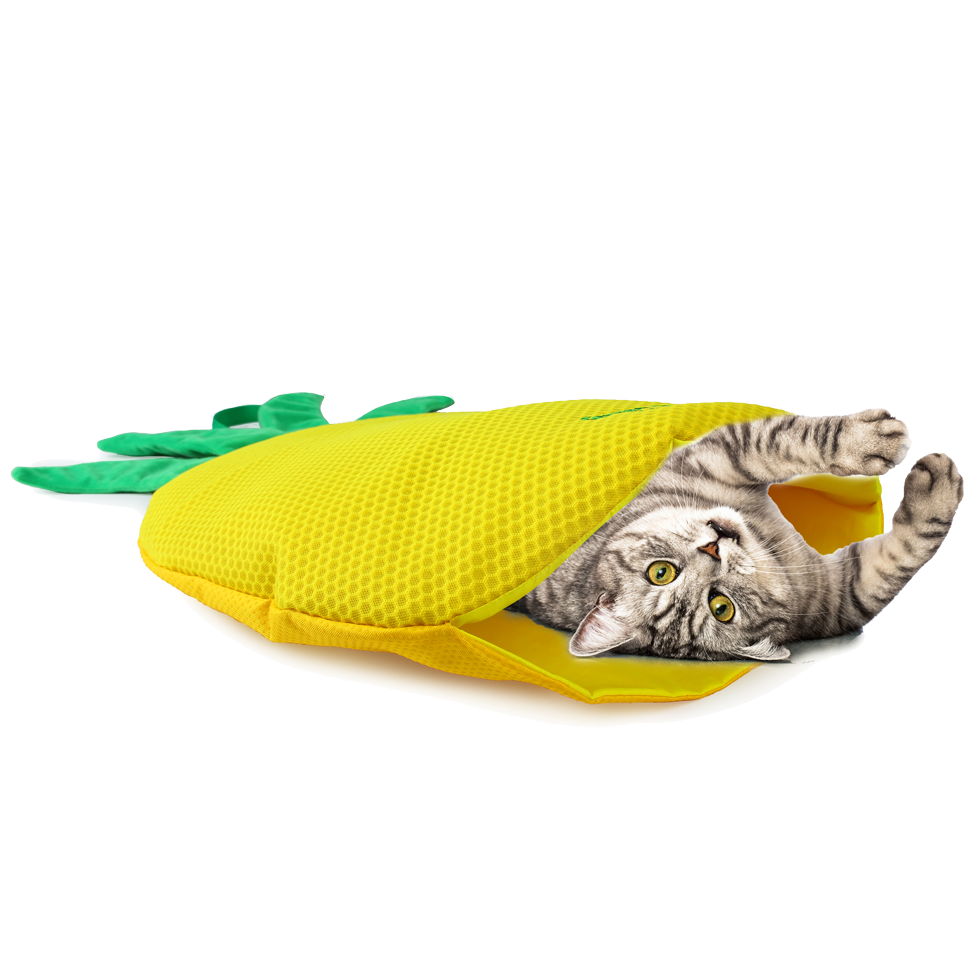 AFP Green Rush - Play Mat Pineapple