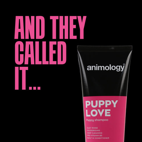 Animology Puppy Love – Shampooing chiot très doux 250 ml