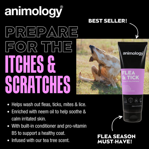 Animology Flea & Tick – Shampooing chien anti-puces 250 ml