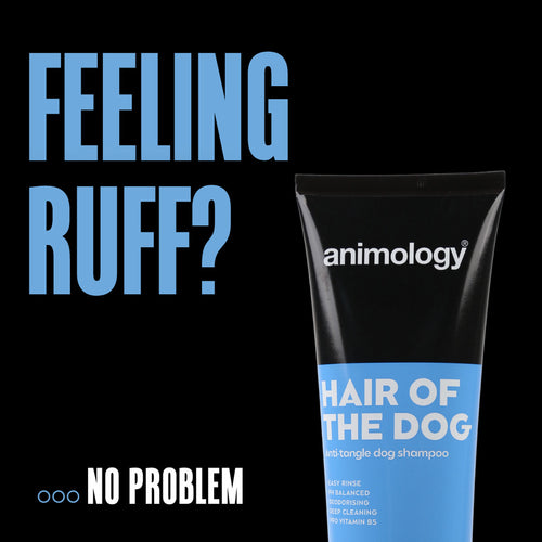 Animology Hair Of The Dog – Shampooing chien démêlant poils longs 250 ml