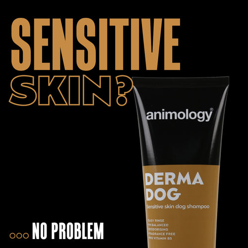 Animology Derma Dog – Shampooing chien peaux sensibles 250 ml
