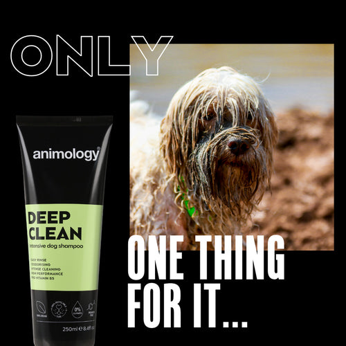 Animology Deep Clean – Shampooing chien nettoyage intensif 250 ml