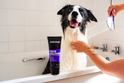 Animology True Colours Dog Shampoo