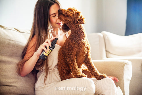 Animology Star Pups – Brume parfumée chiot 150 ml
