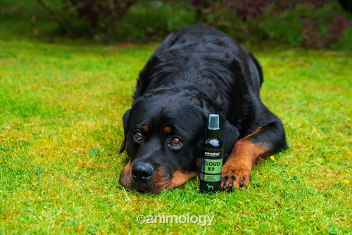 Animology Cloud K9 Body Mist 150ml