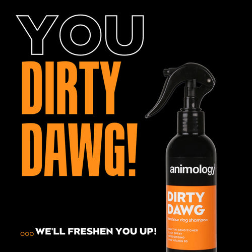 Shampoing sec pour chien – Nettoyage sans rinçage & pelage frais 250ml