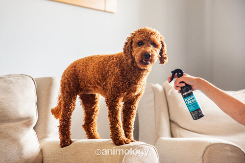 Animology Puppy Fresh Deodorizing Puppy Spray 250 ml