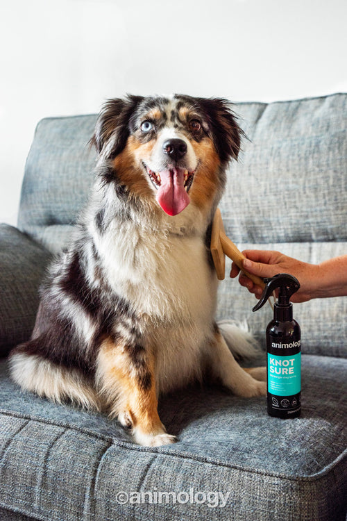 Animology Knot Sure – Spray démêlant chien 250 ml