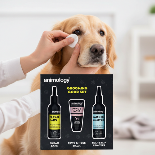Kit Soins Complets Chien – Oreilles, Yeux, Truffe & Coussinets