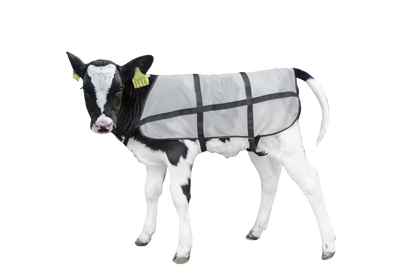 Bodyguard Calf Summer Blanket