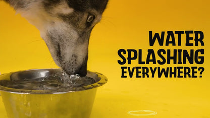 Excellent Pets No-Spill Bowl 300ml Blue S