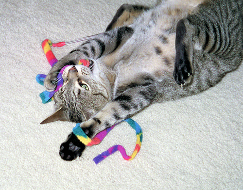 Cat Dancer Cat Charmer – Baguette à ruban pour chat