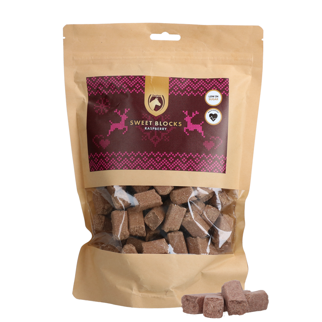 Excellent Horse Christmas Sweet Blocks Raspberry