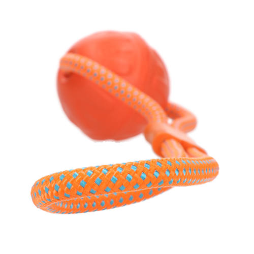 Dog Comets Vortex Loop – Jouet corde réfléchissante orange