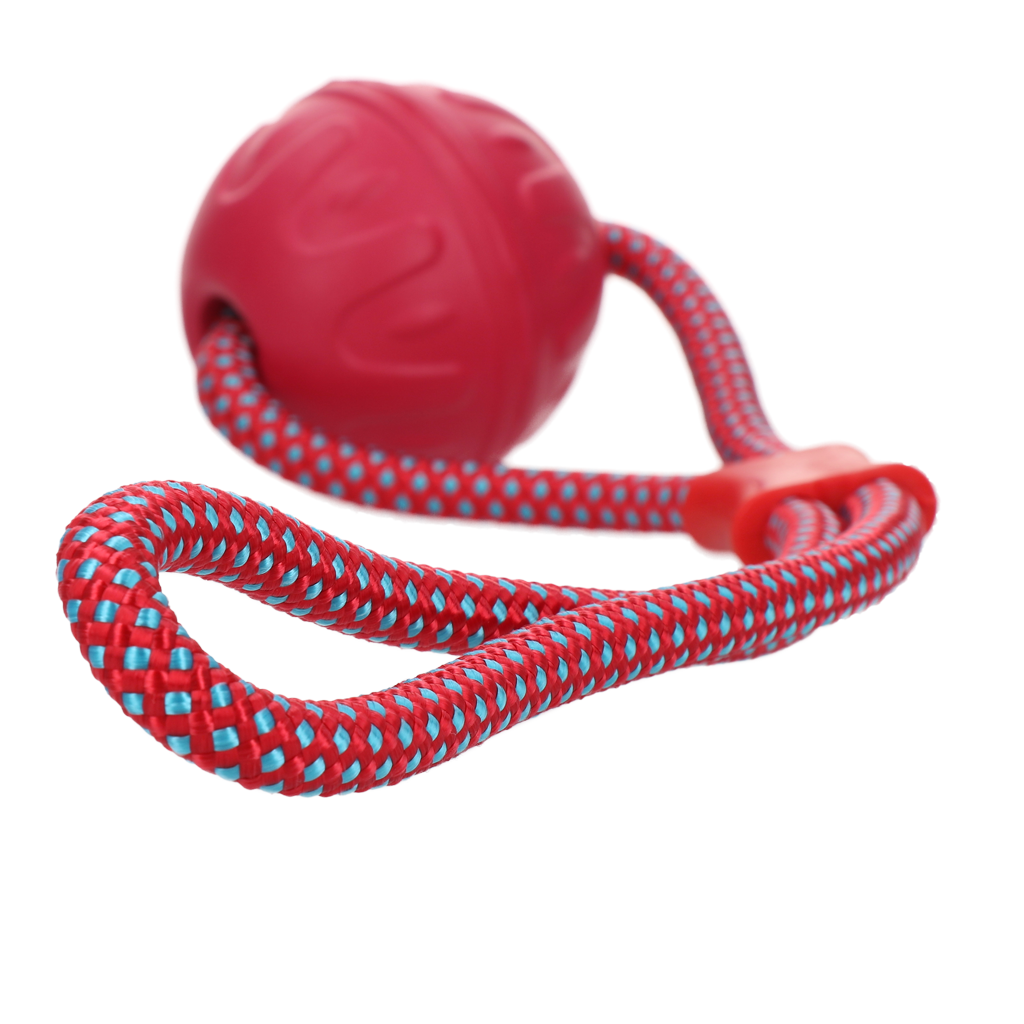 Dog Comets Vortex Loop Pink