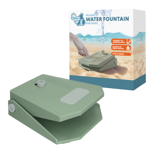 Fontaine à eau chien Coolpets Splash – pédale interactive & rafraîchissante - Vert