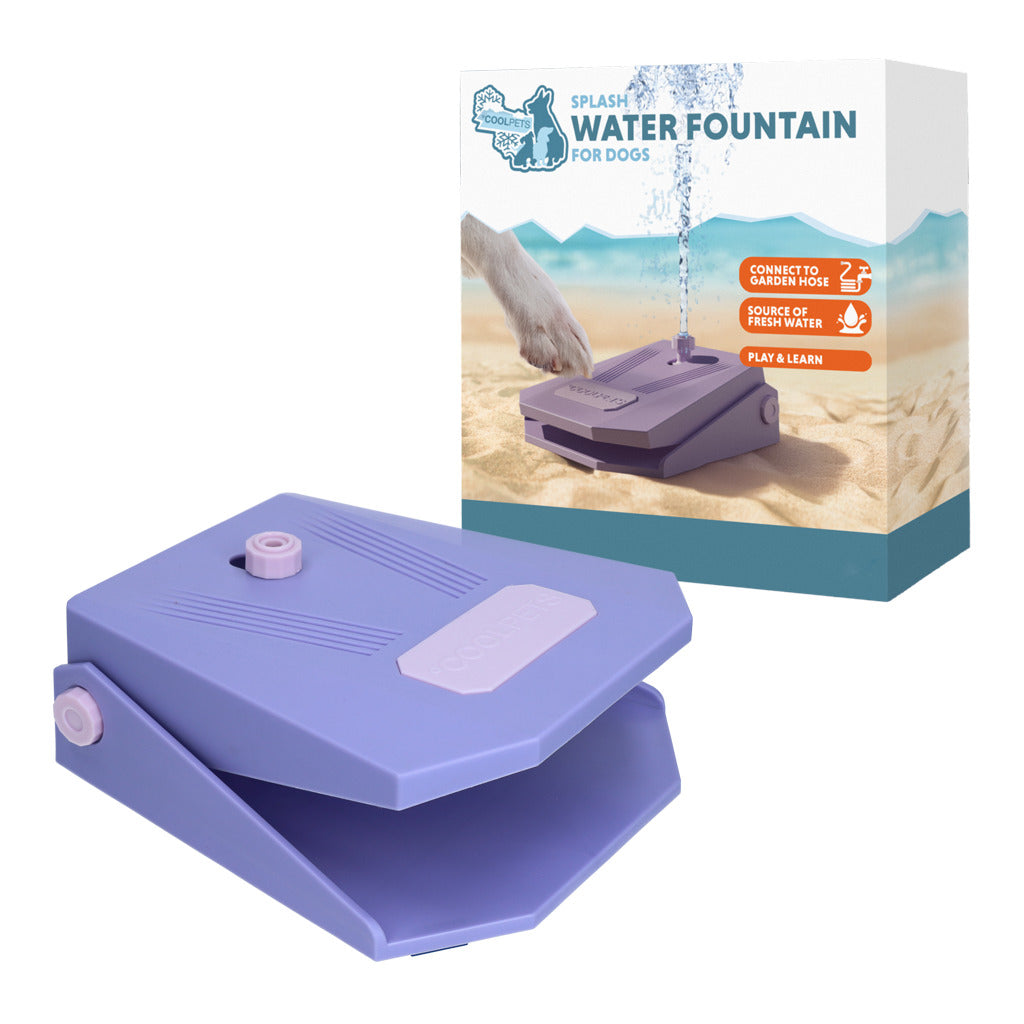 Fontaine à eau chien Coolpets Splash – pédale interactive & rafraîchissante - Vert Coolpets