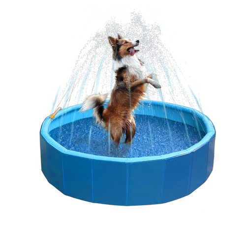 Piscine rafraîchissante avec jets d’eau pour chien – CoolPets Splash Pool