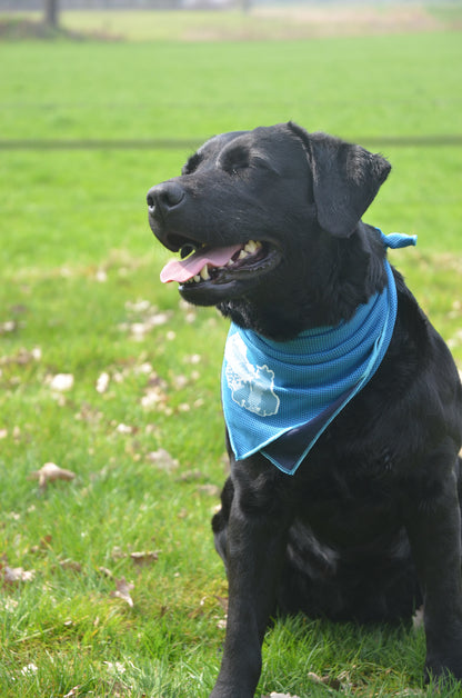 CoolPets Cooling Bandana S