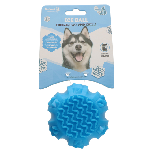 Jouet glacé rafraîchissant pour chien – CoolPets Ice