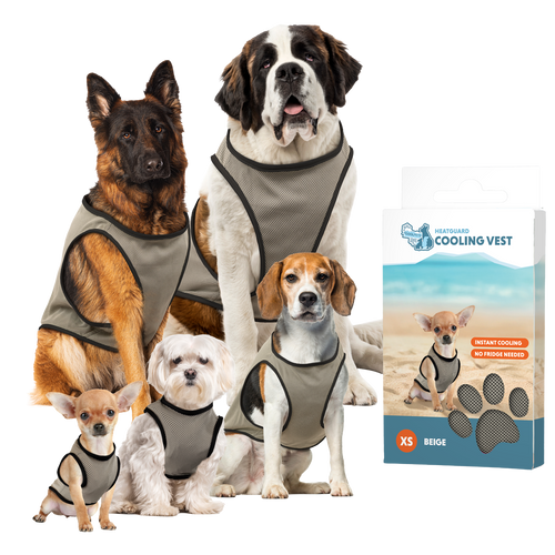 Gilet rafraîchissant pour chien – CoolPets Cooling Vest