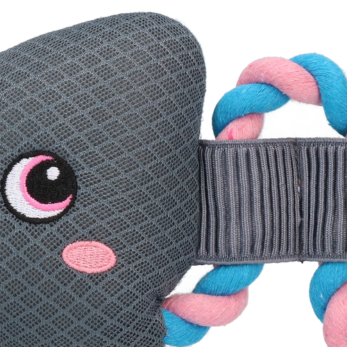 Jouet rafraîchissant pour chien – CoolPets Pull Me! Poisson