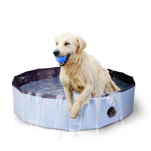 Piscine pour chien – Coolpets Dog Pool