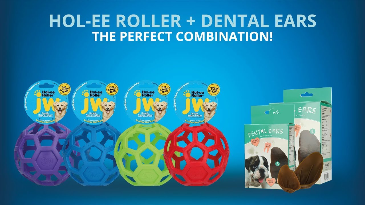 Dental Ears Small 48 pcs