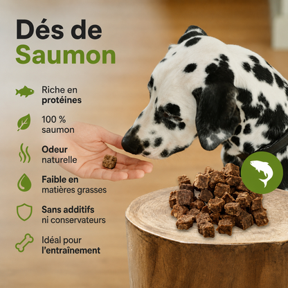 Cubes de saumon naturels pour chiens et chats Kauartikel.com GmbH