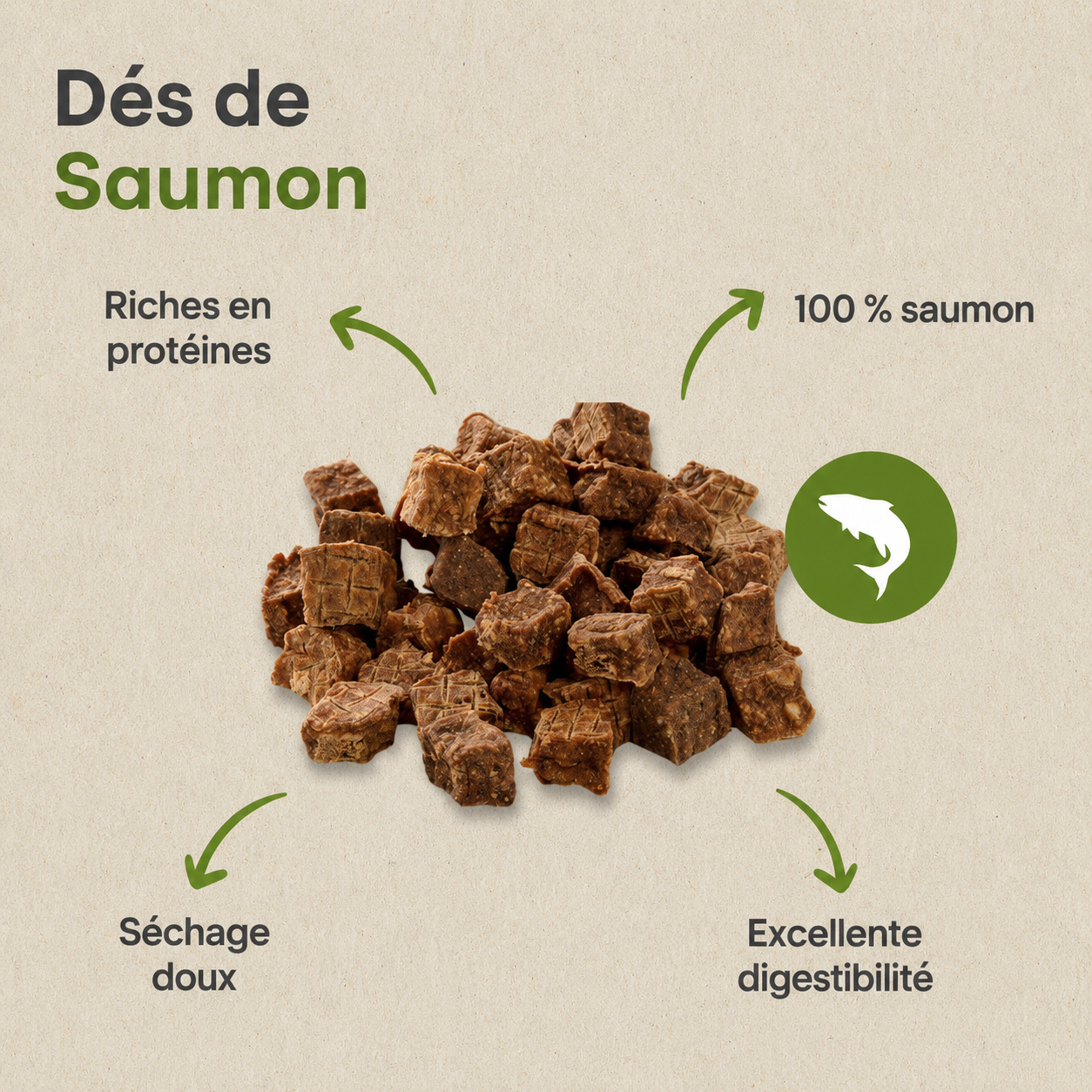 Cubes de saumon naturels pour chiens et chats Kauartikel.com GmbH