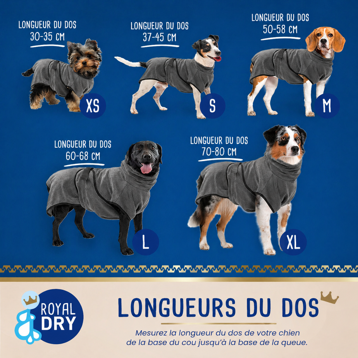 Peignoir de bain microfibre Royal Dry pour chien – Ultra-absorbant