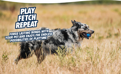 Chuckit! Ultra Squeaker Ball L (1-pack)