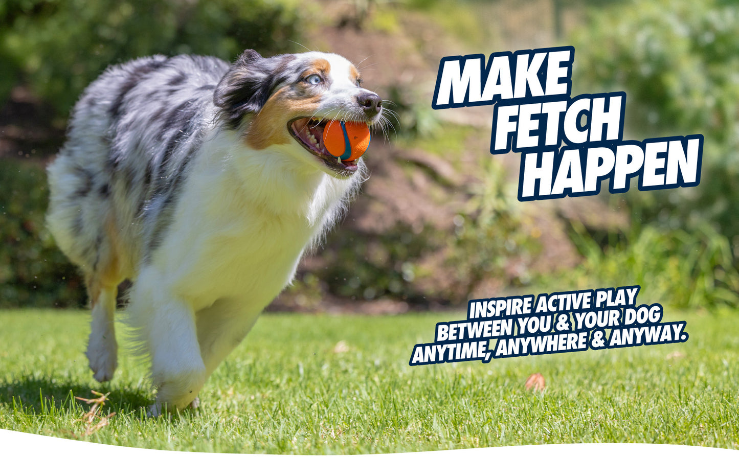 Chuckit! Ultra Squeaker Ball S (1-pack)