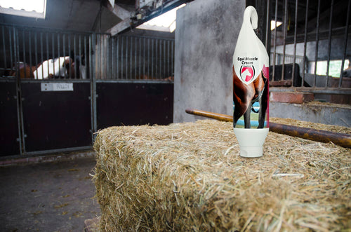 Excellent Horse Muscle Cream — baume musculaire 1 kg