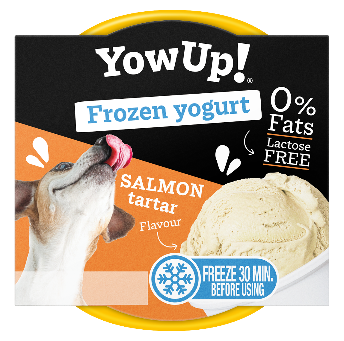 YowUp! Frozen Yoghurt Salmon Tartar