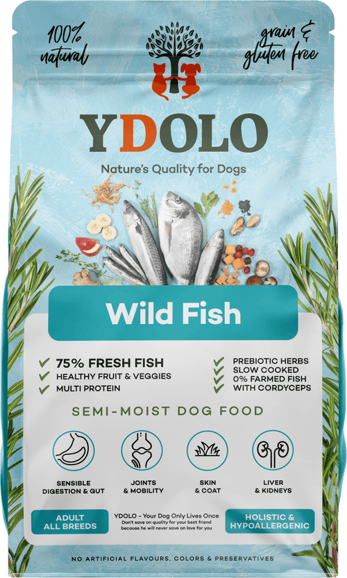 YDOLO Healthy & Pure Poisson Sauvage — Croquettes semi-humides chien