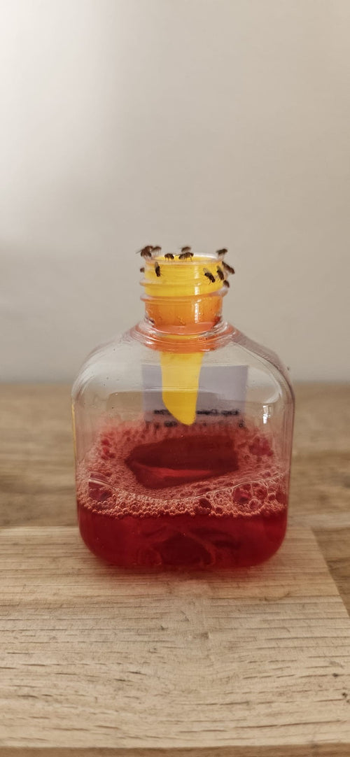 Piège à Mouches des Fruits – Knock Pest