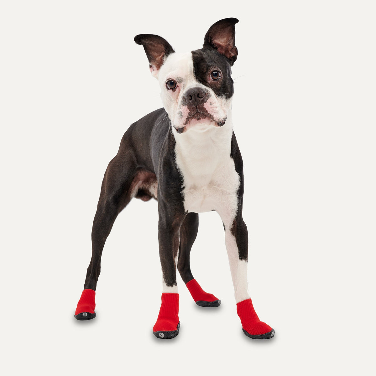 Goo-eez Dog Boots Ultras 2 Per Pack M Red/Black