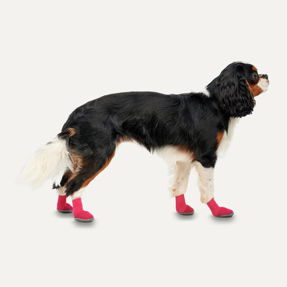 Goo-eez Dog Boots Lites 4 Per Pack M Red/Black