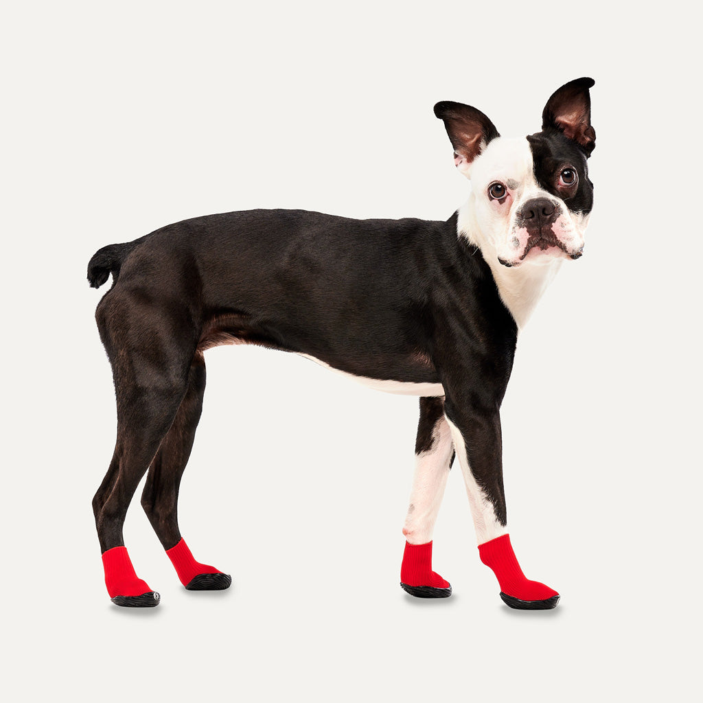 Goo-eez Dog Boots Lites 4 Per Pack M Red/Black