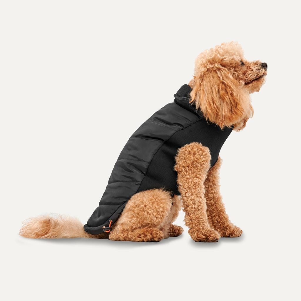 Goo-eez Mock Neck Signature Wrap Jacket XS Black