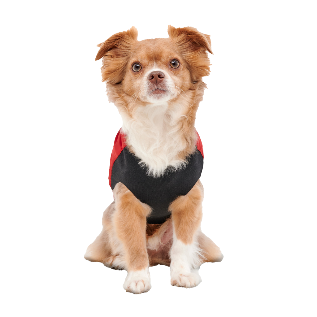 Goo-eez Mock Neck Signature Wrap Jacket XS Red/Black