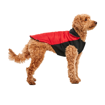 Goo-eez Mock Neck Signature Wrap Jacket M Red/Black