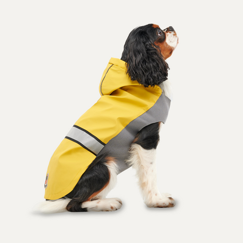 Imperméable réfléchissant Goo-eez pour chien – Jaune & gris