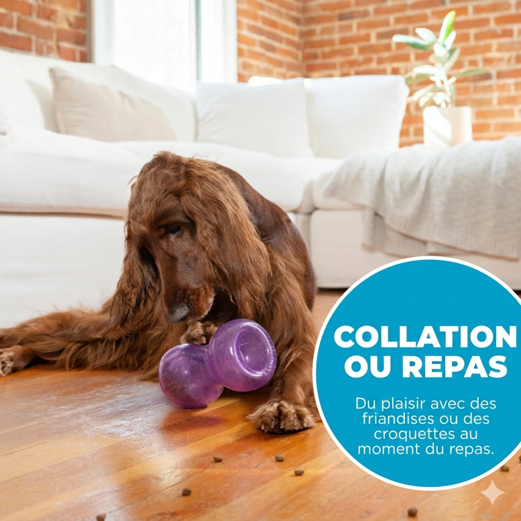 Outward Hound Double Snoop – Jouet interactif anti-ennui pour chien Outward Hound (Kyjen)