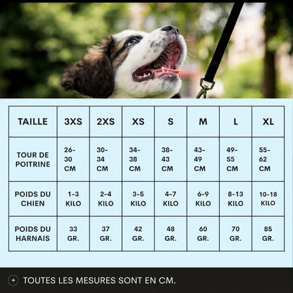 Topmast Airmesh Harnais Chien - Click & Go - Ajustable - Mint Topmast