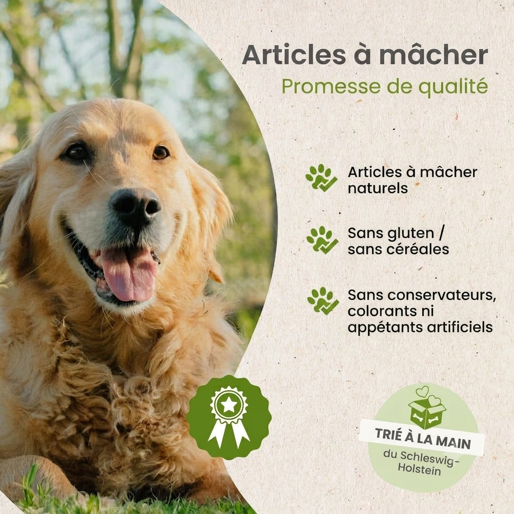 Pattes de cochon naturelles pour chien sans conservateurs Kauartikel.com GmbH